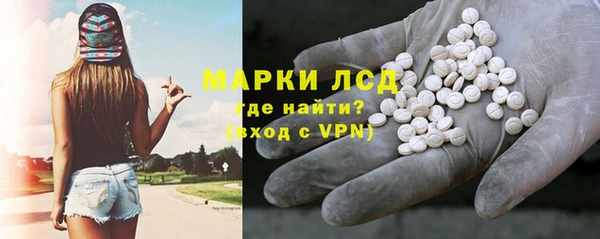 прущие грибы Беломорск