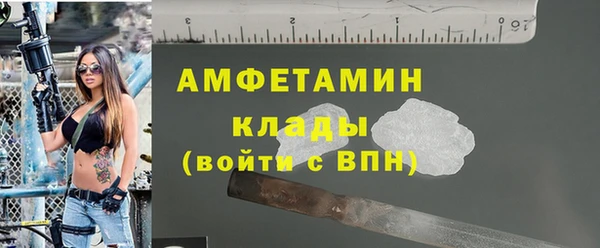 крисы Богородицк