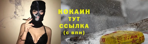 прущие грибы Беломорск