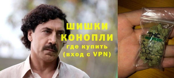 индика Богданович