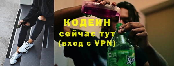 прущие грибы Беломорск