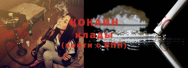 крисы Богородицк