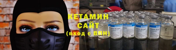 индика Богданович