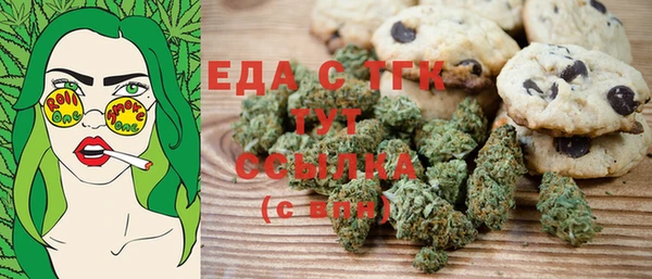 индика Богородск