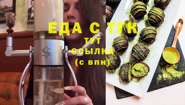 индика Богданович