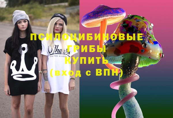 прущие крисы Белокуриха