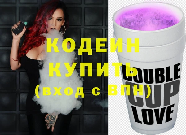 крисы Богородицк