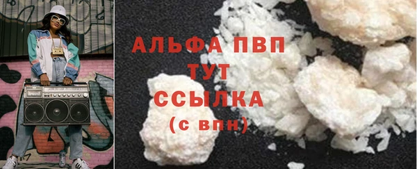 прущие грибы Беломорск