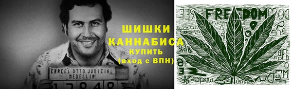 индика Богданович