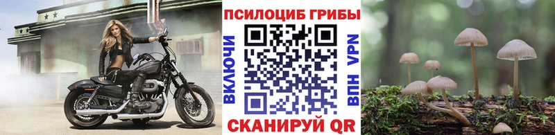 Псилоцибиновые грибы прущие грибы  Светлый 